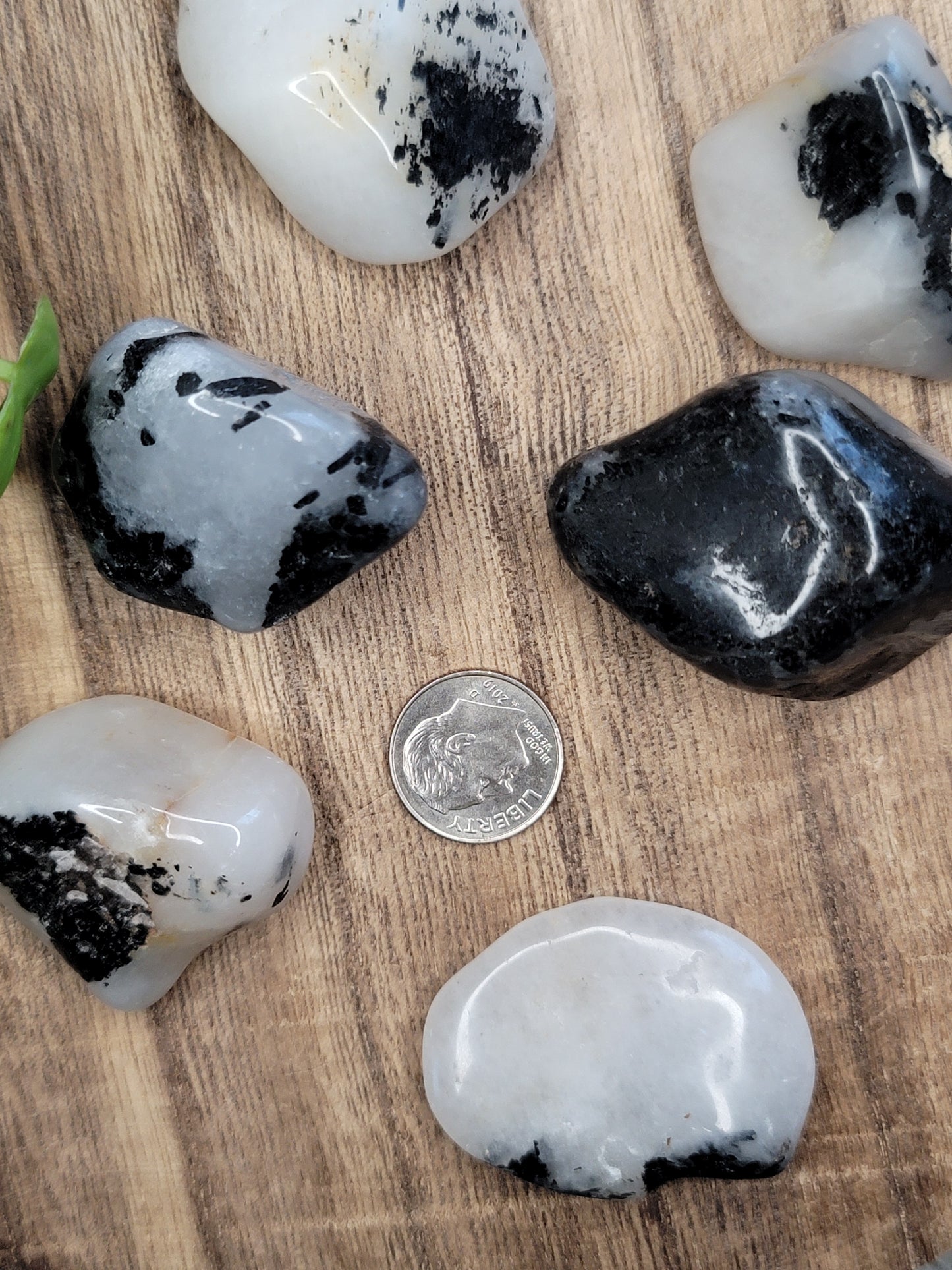 Tourmalinated Quartz Tumble – Protection, Clarity & Emotional Strength