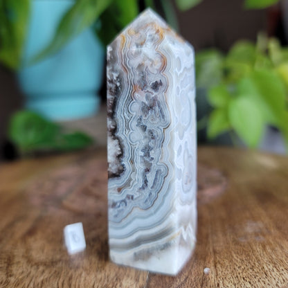 Mexican Crazy Lace Agate Tower: Radiant Patterns of Joyful Energy