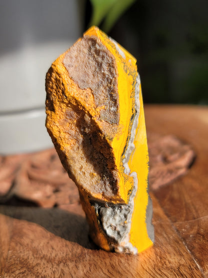 Bumble Bee Jasper Tower: Vibrant Energy and Joyful Transformation