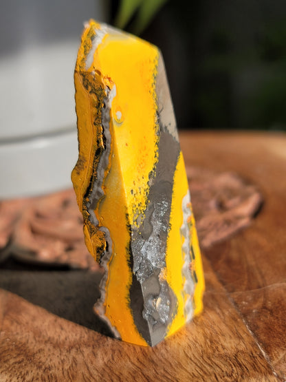 Bumble Bee Jasper Tower: Vibrant Energy and Joyful Transformation