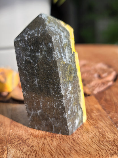 Bumble Bee Jasper Tower: Vibrant Energy and Joyful Transformation