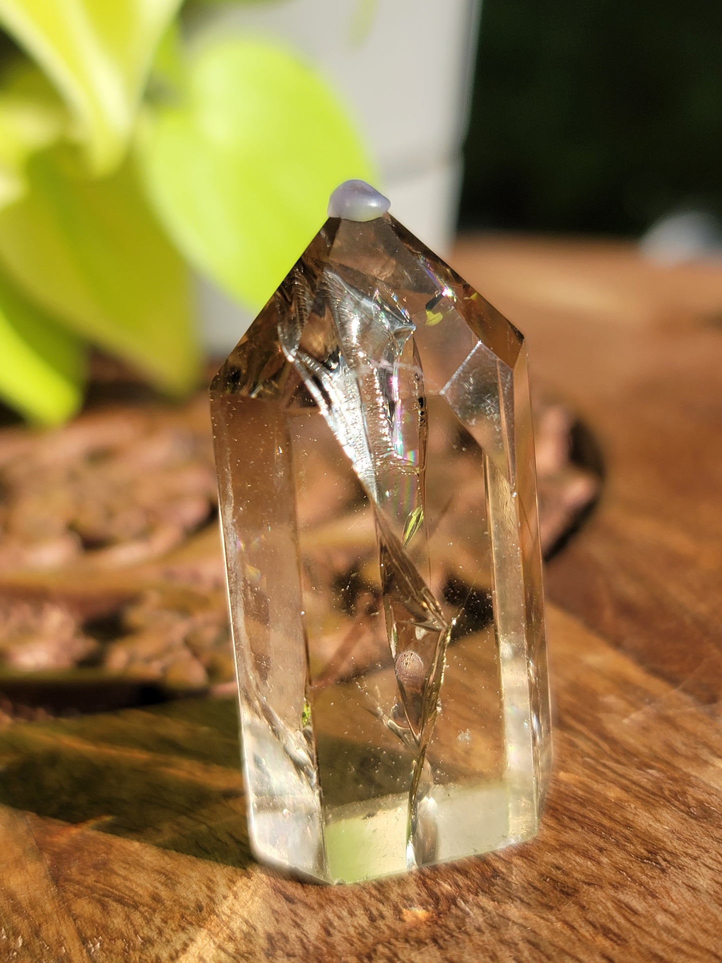 HT Citrine Point: A Spark of Abundance and Joy