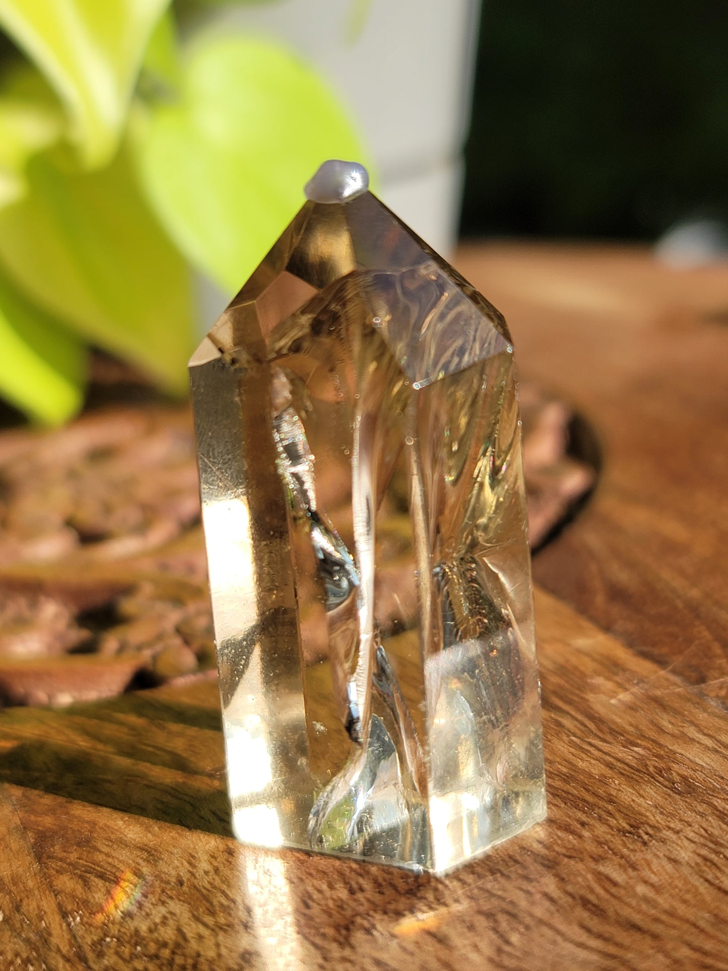 HT Citrine Point: A Spark of Abundance and Joy