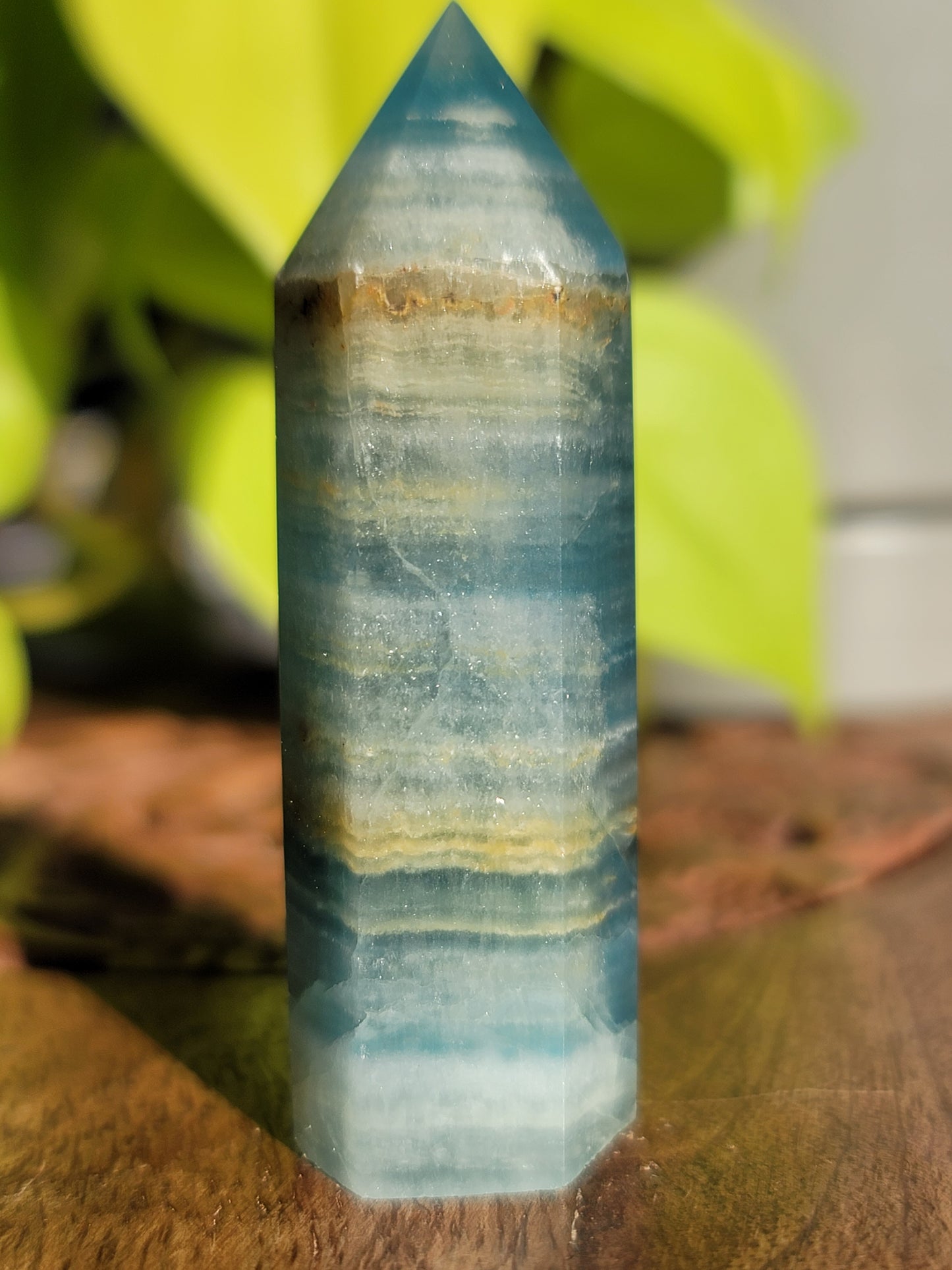 Blue Onyx Point: Serene Strength in Petite Form