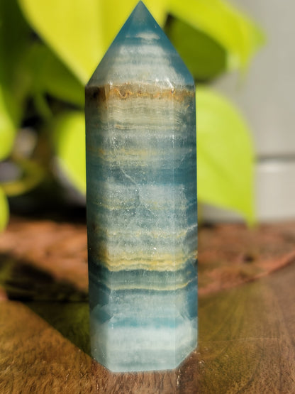 Blue Onyx Point: Serene Strength in Petite Form