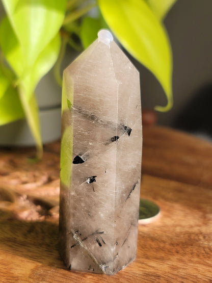 Black Tourmaline Quartz Point: Harmonious Protection and Grounding Energy 3"