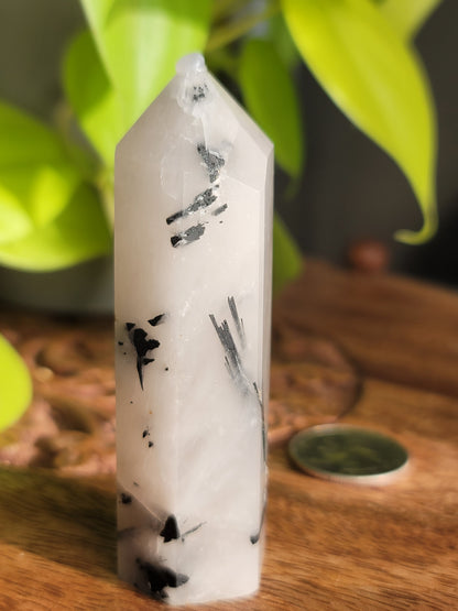 Black Tourmaline Quartz Point: Harmonious Protection and Grounding Energy 3"