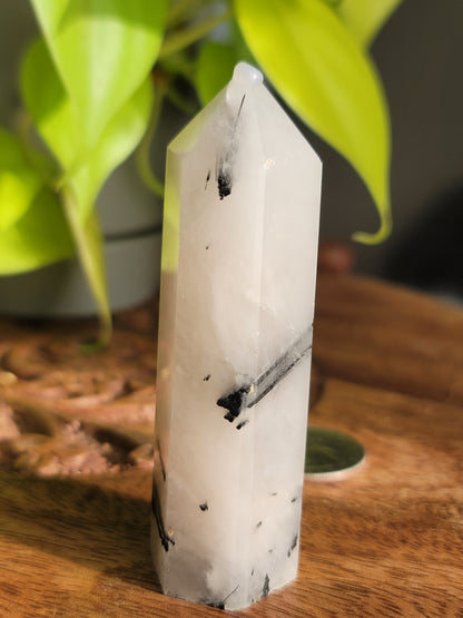 Black Tourmaline Quartz Point: Harmonious Protection and Grounding Energy 3"