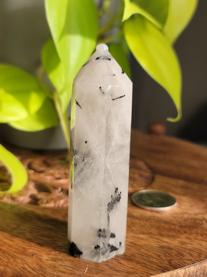 Black Tourmaline Quartz Point: Harmonious Protection and Grounding Energy 3"