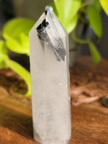Black Tourmaline Quartz Point: Harmonious Protection and Grounding Energy 3"