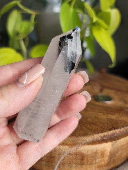 Black Tourmaline Quartz Point: Harmonious Protection and Grounding Energy 3"