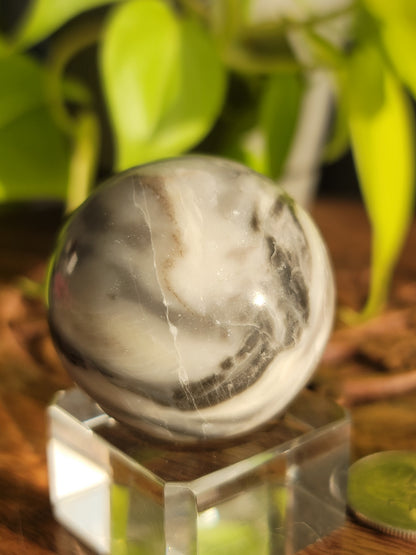 Thousand Eye Shell Sphere: A Conduit of Ancient Wisdom and Grounding Energy 1.75"