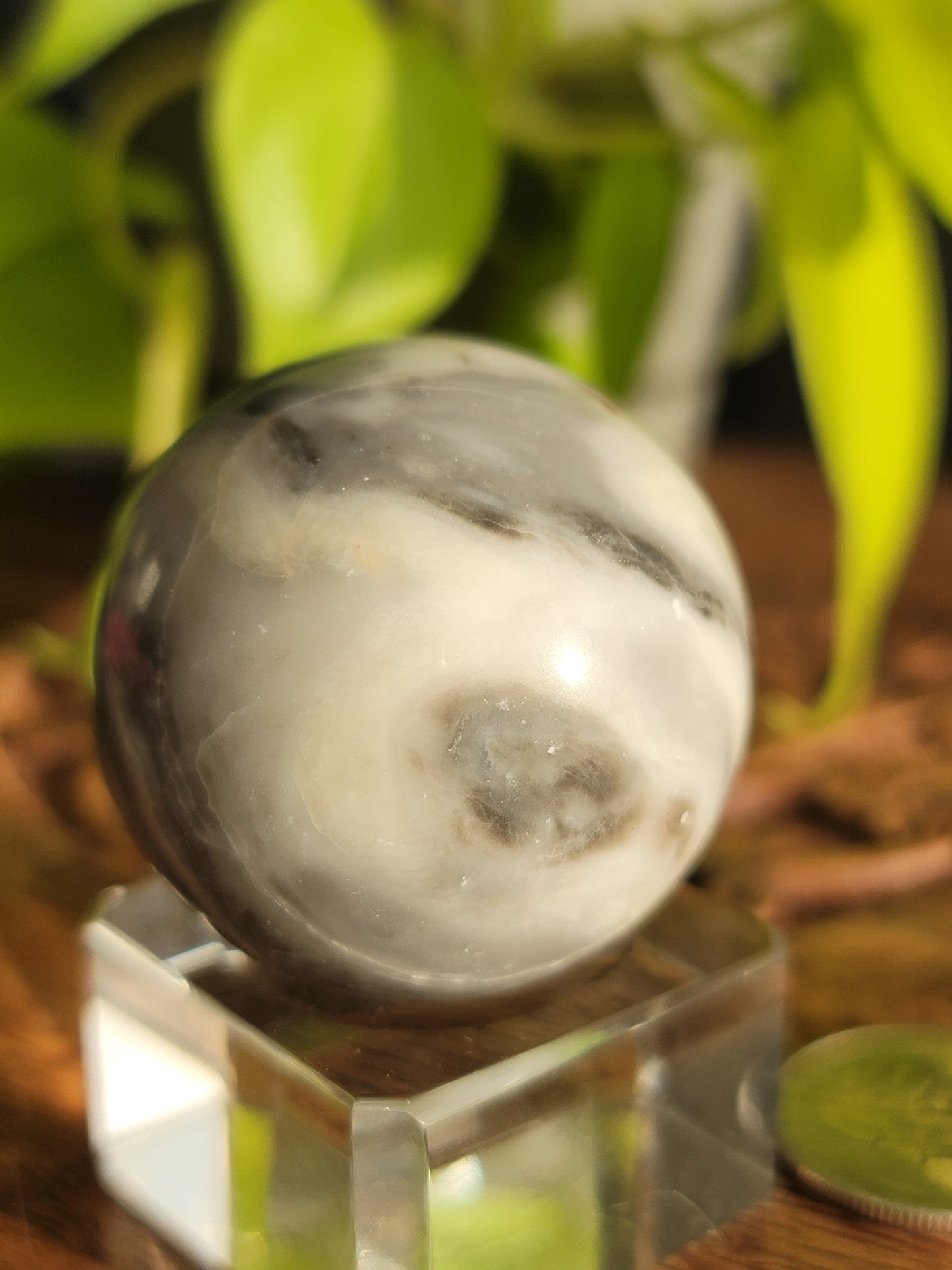 Thousand Eye Shell Sphere: A Conduit of Ancient Wisdom and Grounding Energy 1.75"