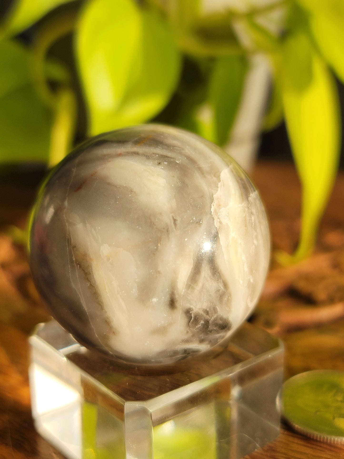 Thousand Eye Shell Sphere: A Conduit of Ancient Wisdom and Grounding Energy 1.75"