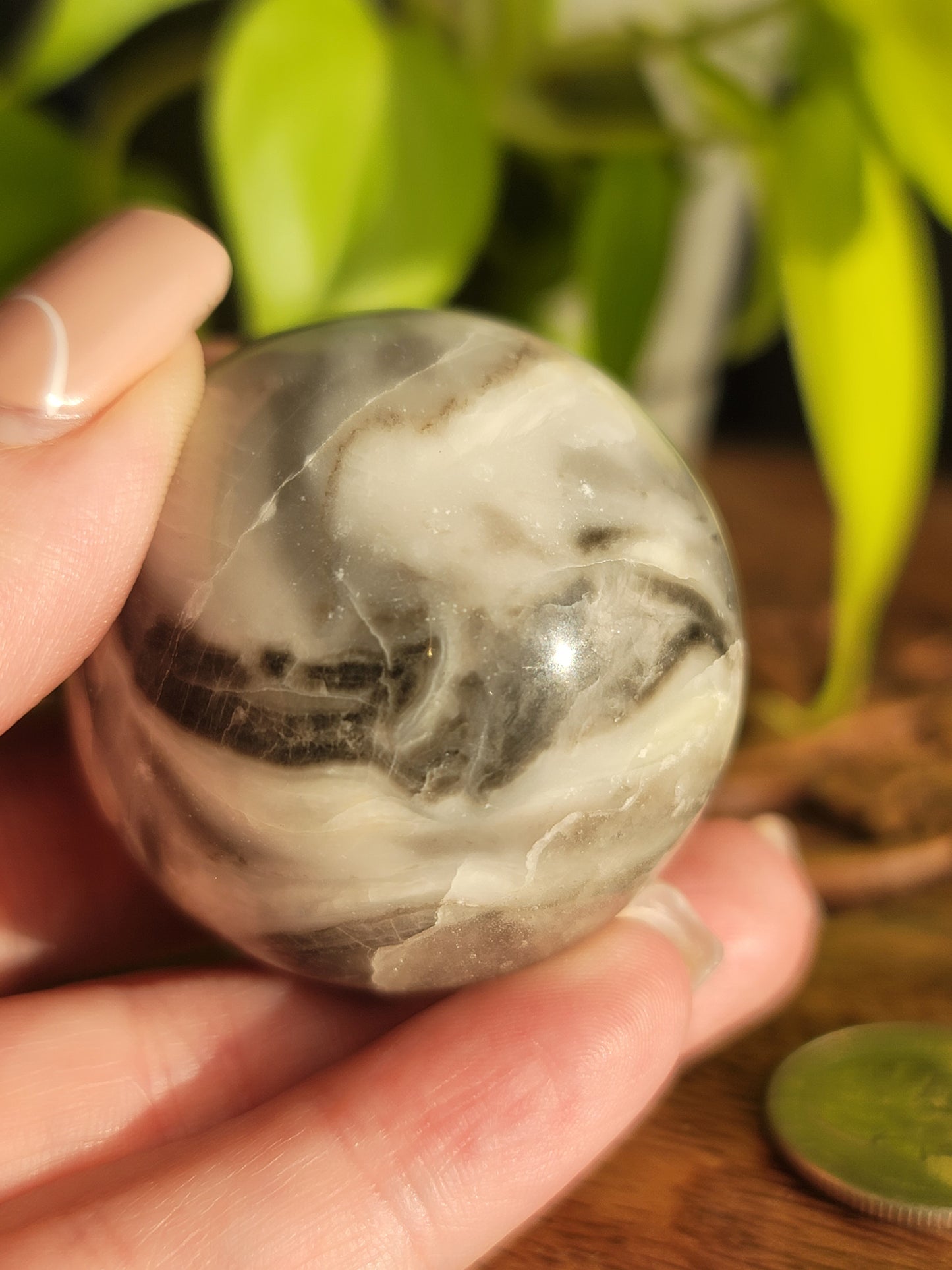 Thousand Eye Shell Sphere: A Conduit of Ancient Wisdom and Grounding Energy 1.75"