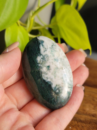 Moss Agate Palmstone: Nature's Tranquility and Grounding Energy