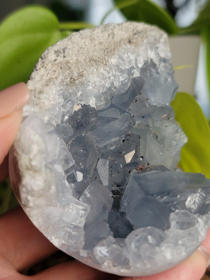 Blue Celestite Geode – Peace, Intuition & Angelic Energy