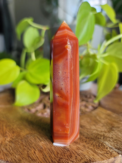 Carnelian Point: Fiery Vitality and Creative Passion
