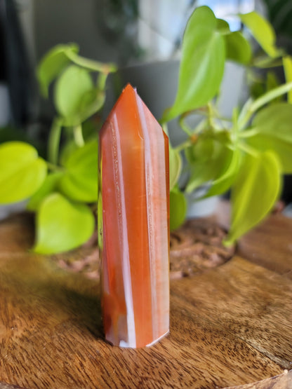 Carnelian Point: Fiery Vitality and Creative Passion