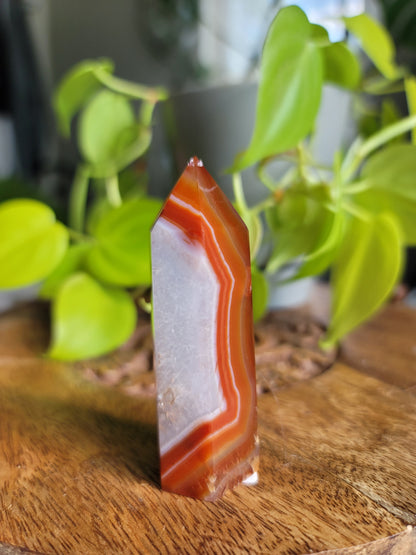Carnelian Point: Fiery Vitality and Creative Passion