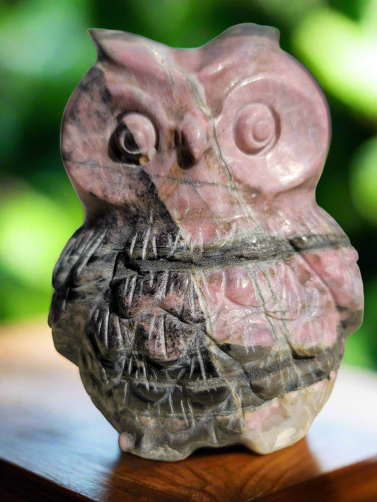 Rhodonite Owl Carving