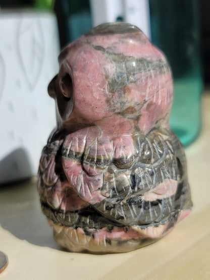 Rhodonite Owl Carving: Guardian of Compassion and Emotional Healing