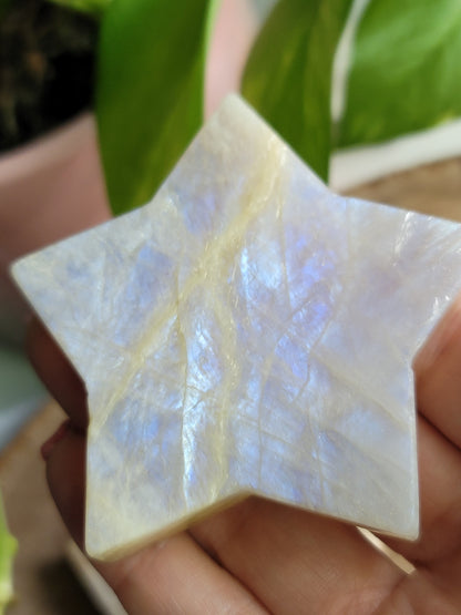 Moonstone Star: Celestial Illumination and Divine Feminine Energy
