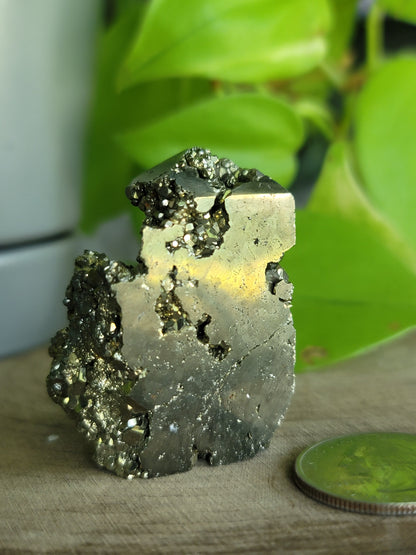 Pyrite Druzy Tower: Sparkling Shield of Abundance