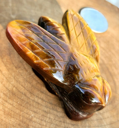 Tiger's Eye Bee Carving: Strength and Vitality