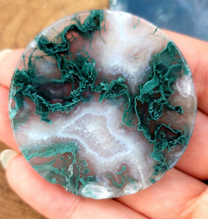 Druzy Moss Agate Coaster: Natural Serenity and Grounding Energy