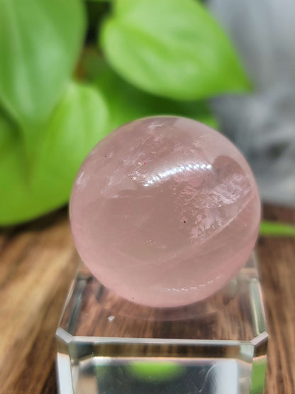 Star Flash Rose Quartz Sphere: Radiant Love and Gentle Healing