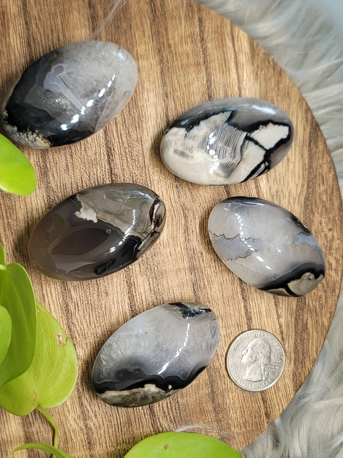 Volcanic Agate Palmstone: Grounding Energy and UV Reactive Magic