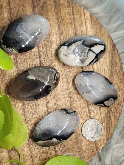 Volcanic Agate Palmstone: Grounding Energy and UV Reactive Magic