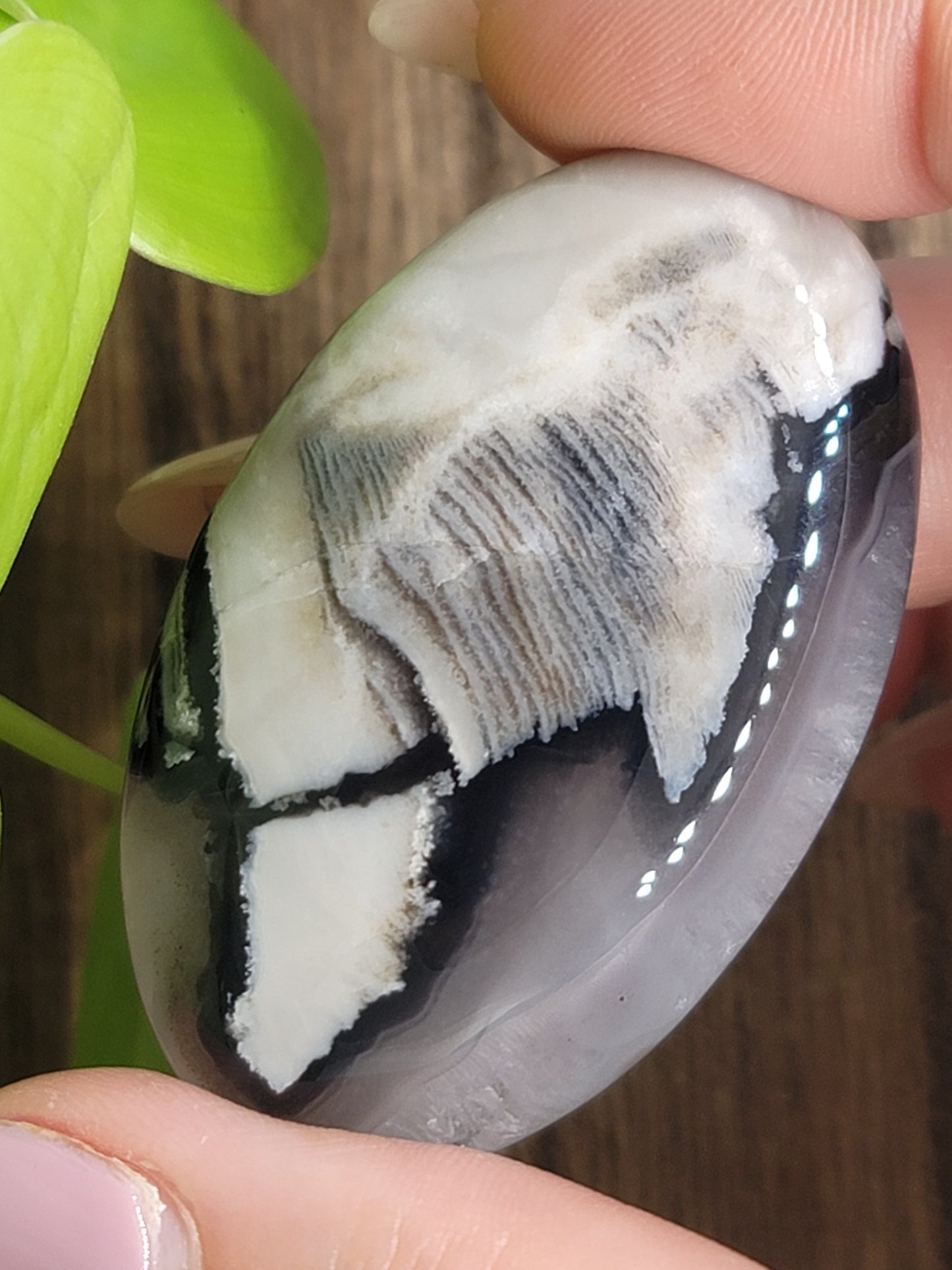 Volcanic Agate Palmstone: Grounding Energy and UV Reactive Magic