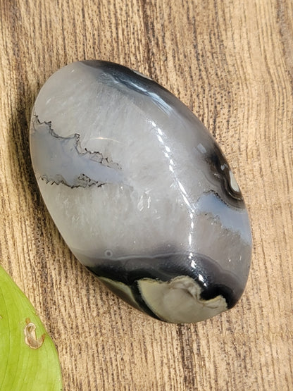 Volcanic Agate Palmstone: Grounding Energy and UV Reactive Magic