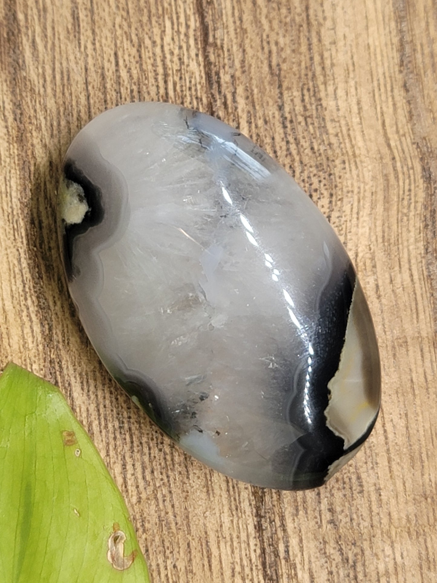 Volcanic Agate Palmstone: Grounding Energy and UV Reactive Magic