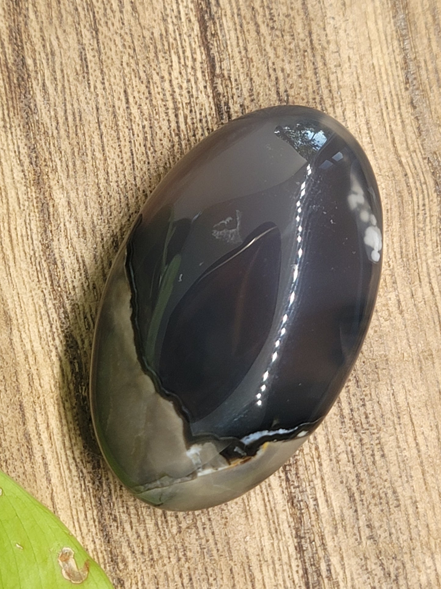 Volcanic Agate Palmstone: Grounding Energy and UV Reactive Magic