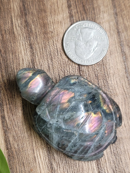 High Flash Labradorite Turtle Carving: Mystical Protection and Inner Strength