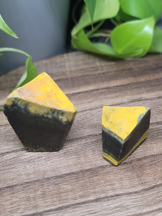 Bumblebee Jasper Freeform: Ignite Positivity and Personal Power