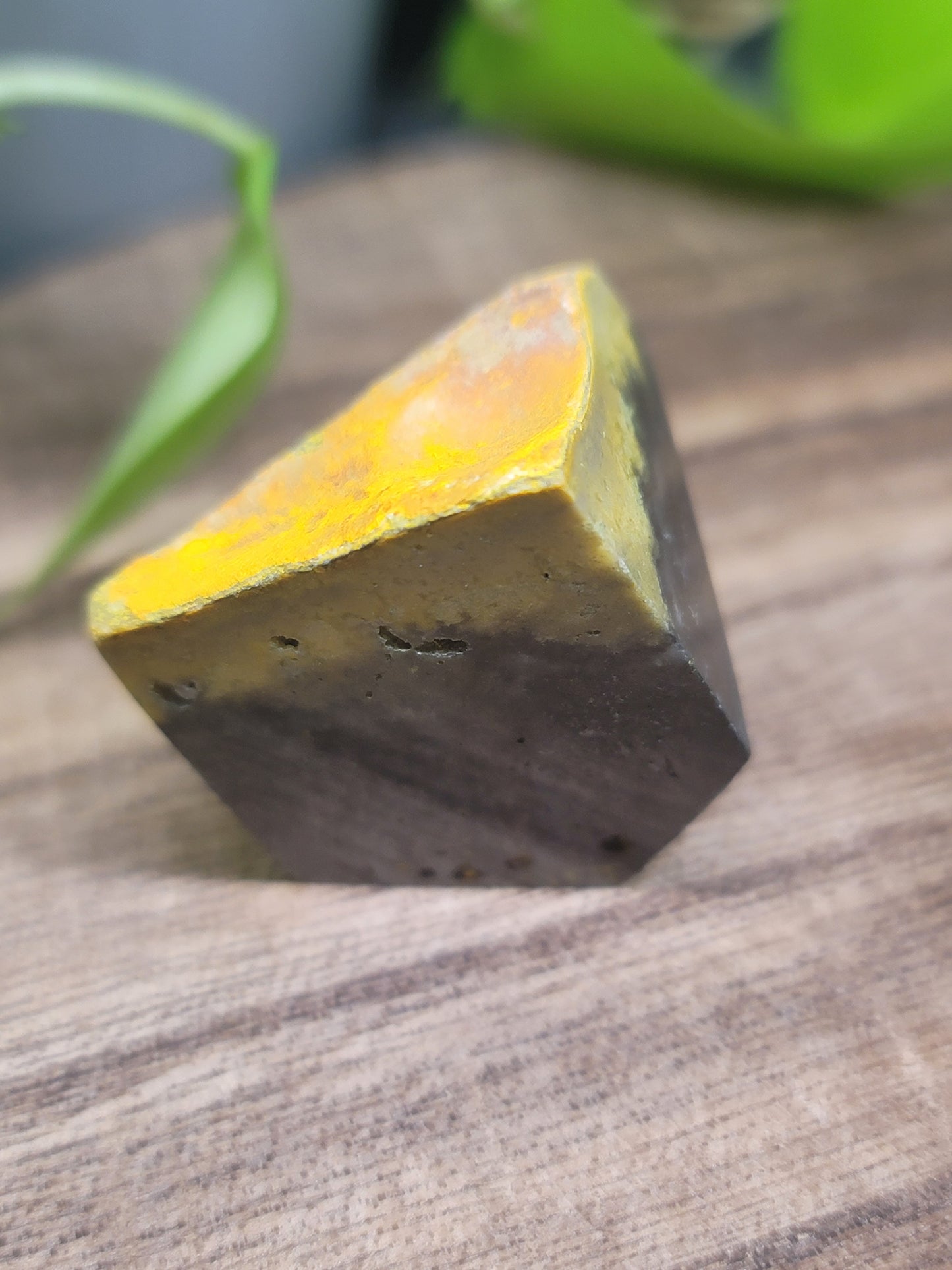 Bumblebee Jasper Freeform: Ignite Positivity and Personal Power