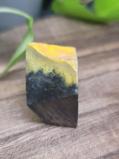 Bumblebee Jasper Freeform: Ignite Positivity and Personal Power