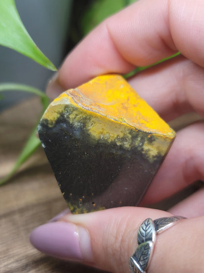 Bumblebee Jasper Freeform: Ignite Positivity and Personal Power