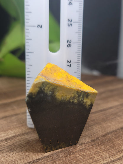 Bumblebee Jasper Freeform: Ignite Positivity and Personal Power