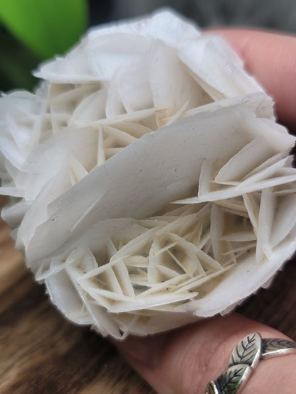 Rose Calcite Specimen UV Elephant Carving: Gentle Love and Radiant Energy