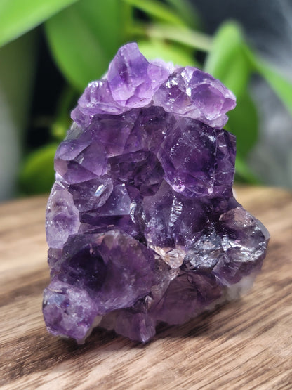 Amethyst Druzy Cave: Serenity and Spiritual Connection