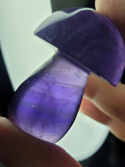 Fluorite Mushroom: Clarity and Harmonious Balance