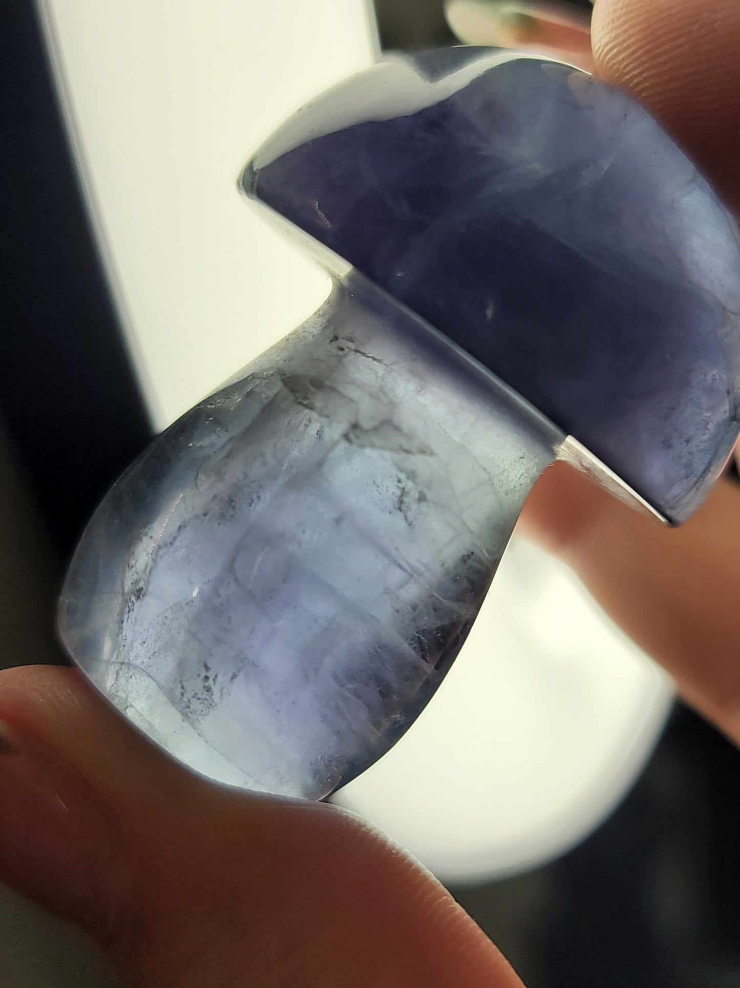 Fluorite Mushroom: Clarity and Harmonious Balance