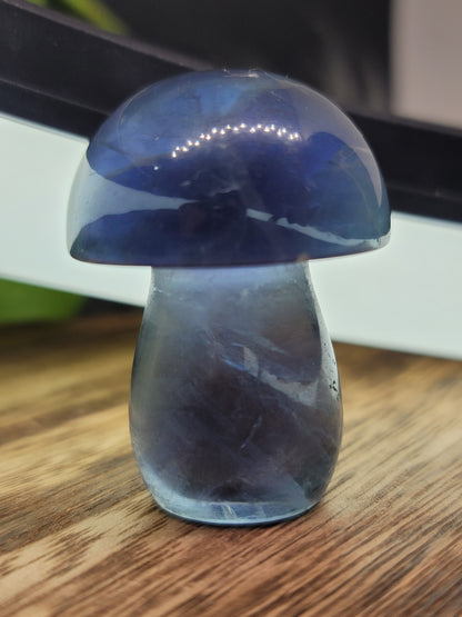 Fluorite Mushroom: Clarity and Harmonious Balance