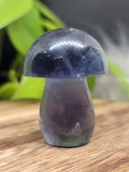 Fluorite Mushroom: Clarity and Harmonious Balance