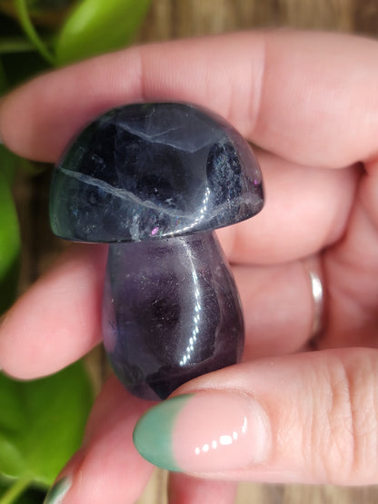 Fluorite Mushroom: Clarity and Harmonious Balance